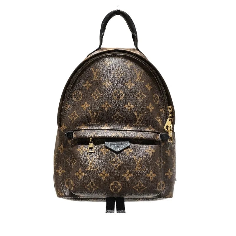 LOUIS VUITTON PALM SPRINGS BACKPACK (1 of 8)