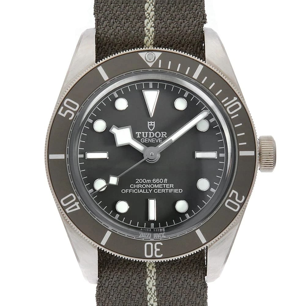TUDOR BLACK BAY WATCH (1 of 6)
