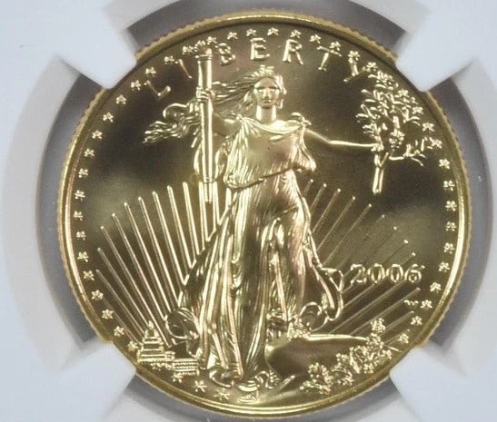 2006-W $25 BURNISHED GOLD EAGLE (1 of 2)