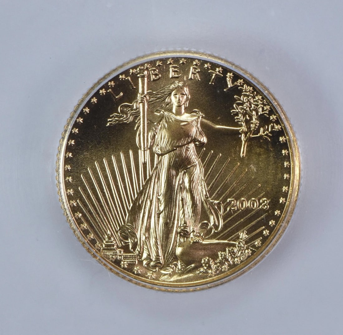 2003 $5 AMERICAN GOLD EAGLE (1 of 2)