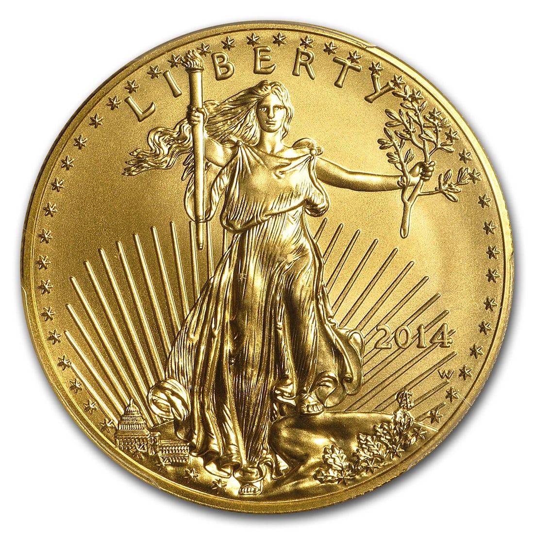 2014-W 1 OZ BURNISHED GOLD EAGLE (1 of 2)