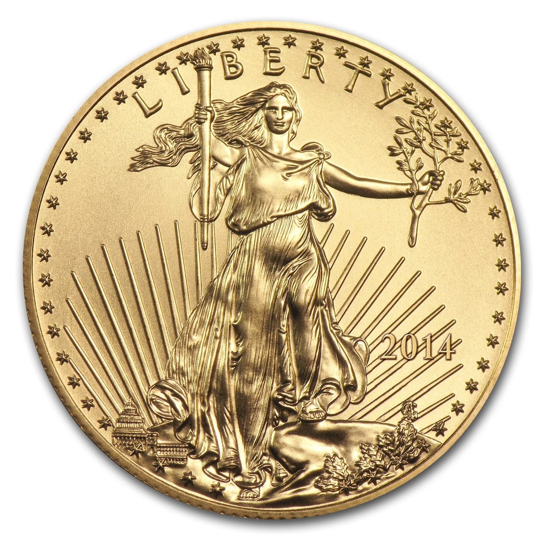 2014 1 OZ AMERICAN GOLD EAGLE (1 of 2)