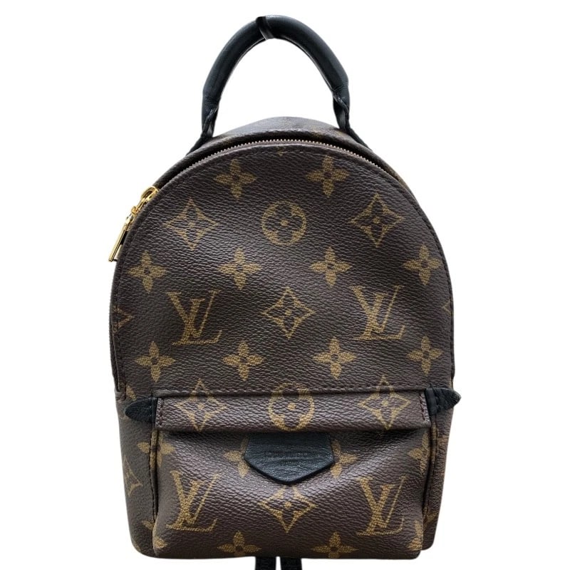 LOUIS VUITTON PALM SPRINGS BACKPACK MINI BACKPACK (1 of 8)