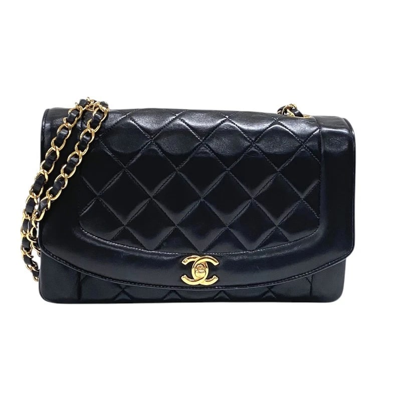 CHANEL DIANA 25 SHOULDER BAG (1 of 10)
