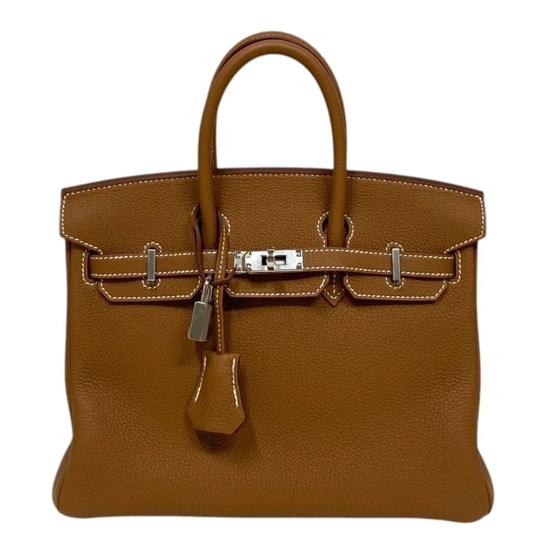 HERMES BIRKIN 25 HANDBAG (1 of 6)
