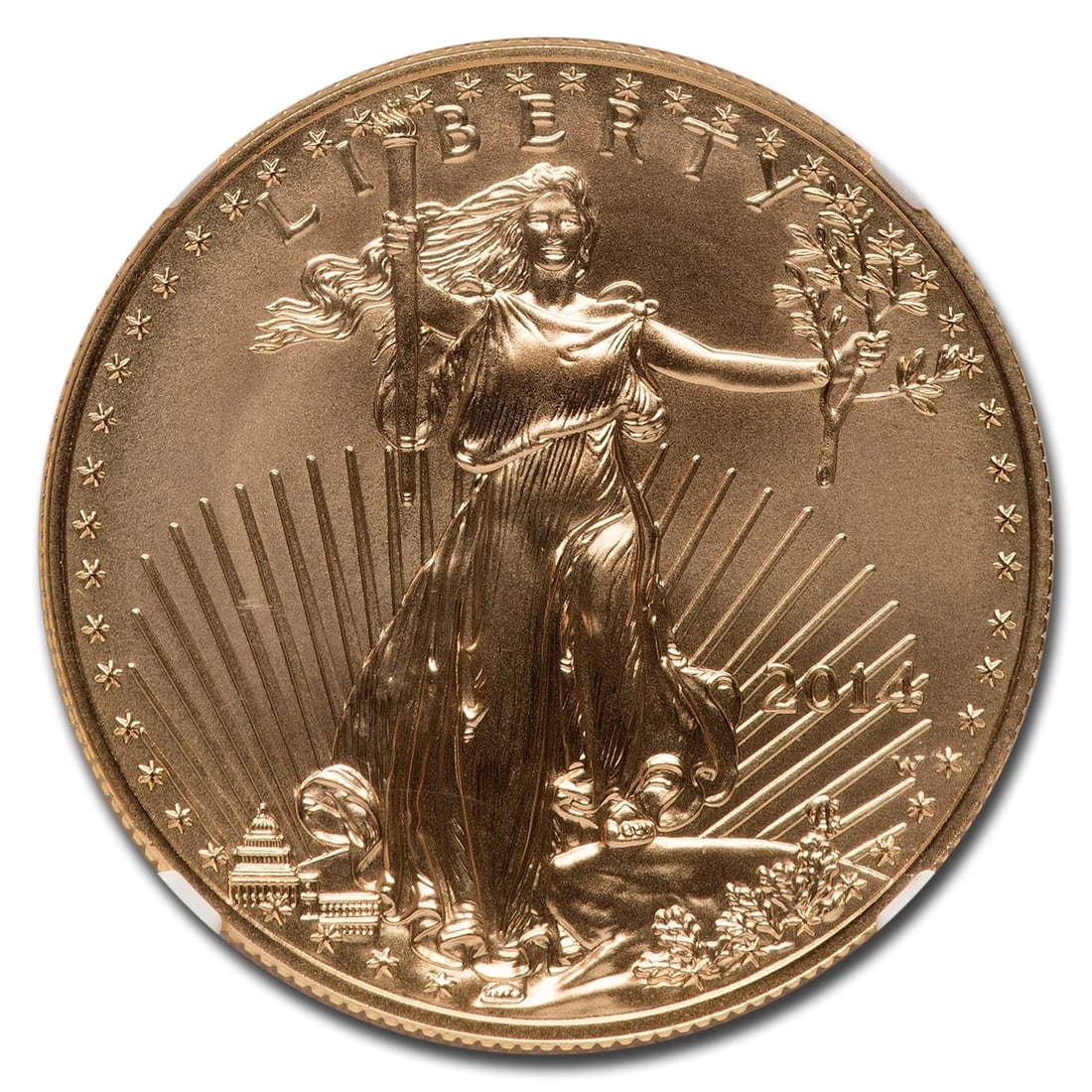 2014-W 1 OZ BURNISHED GOLD EAGLE (1 of 2)