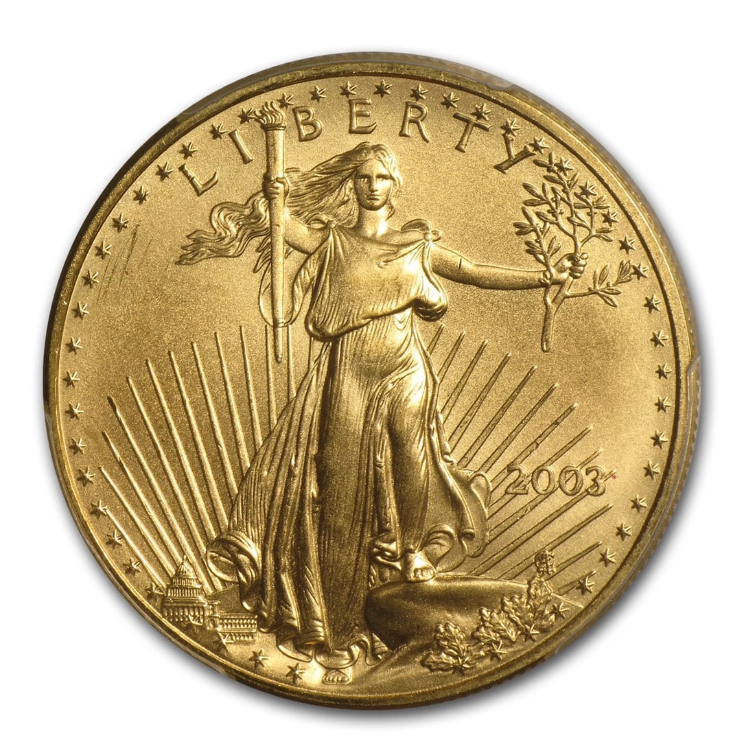 2003 1 OZ AMERICAN GOLD EAGLE (1 of 2)