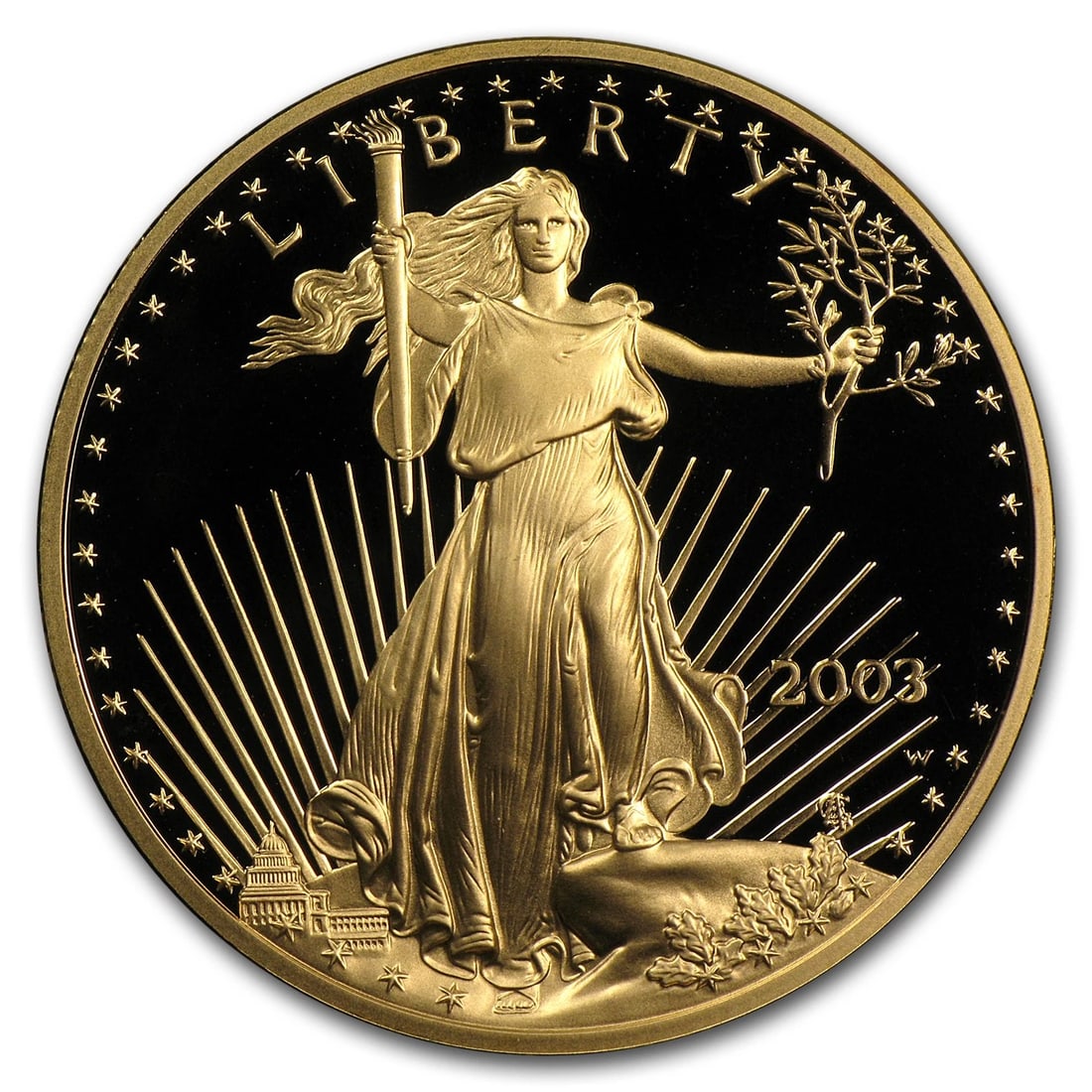 2003-W 4-COIN PROOF AMERICAN GOLD EAGLE SET (1 of 2)