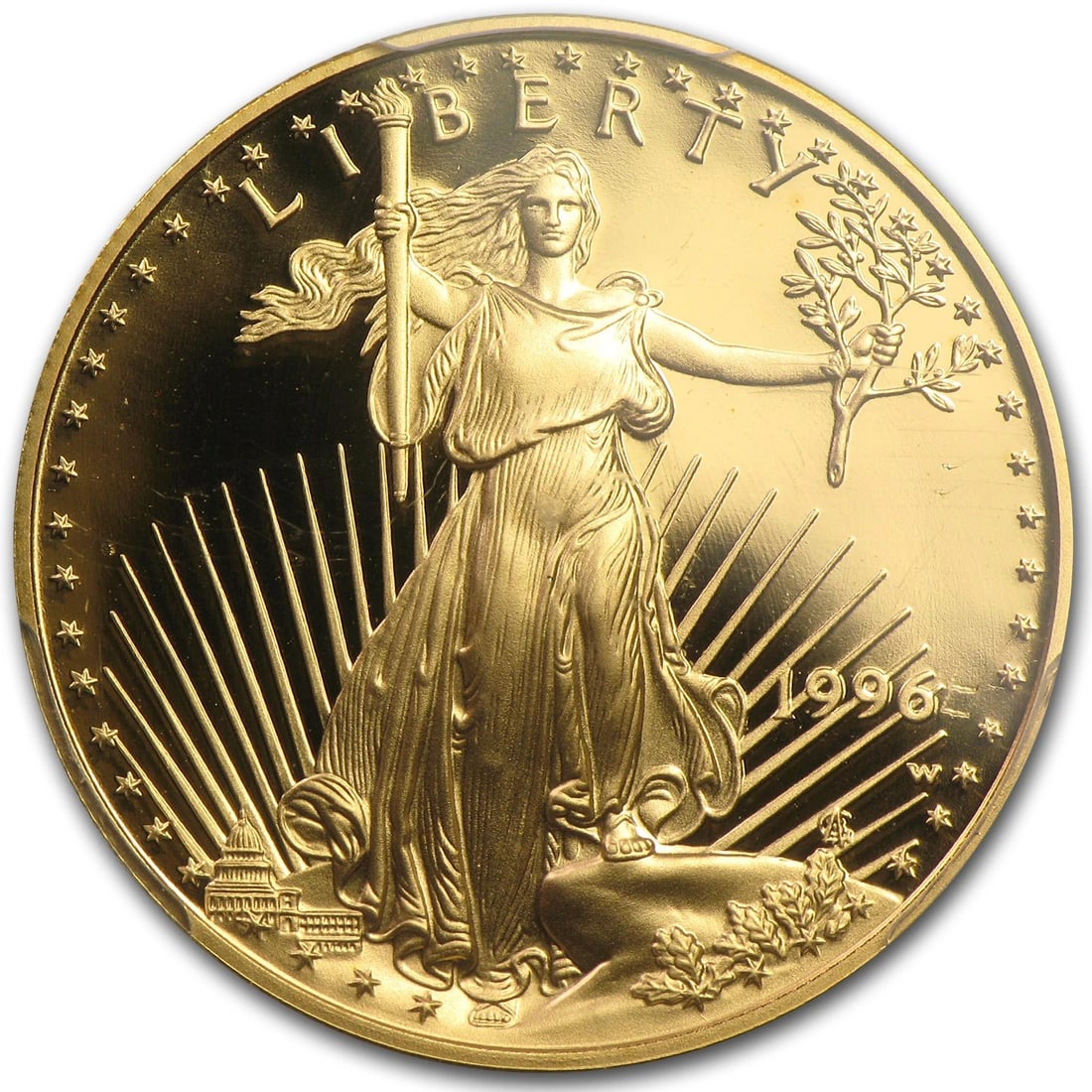 1996-W 1/2 OZ PROOF AMERICAN GOLD (1 of 2)