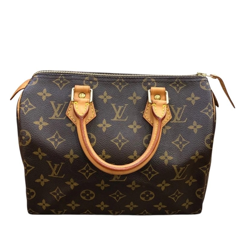 LOUIS VUITTON SPEEDY 25 HANDBAG (1 of 11)