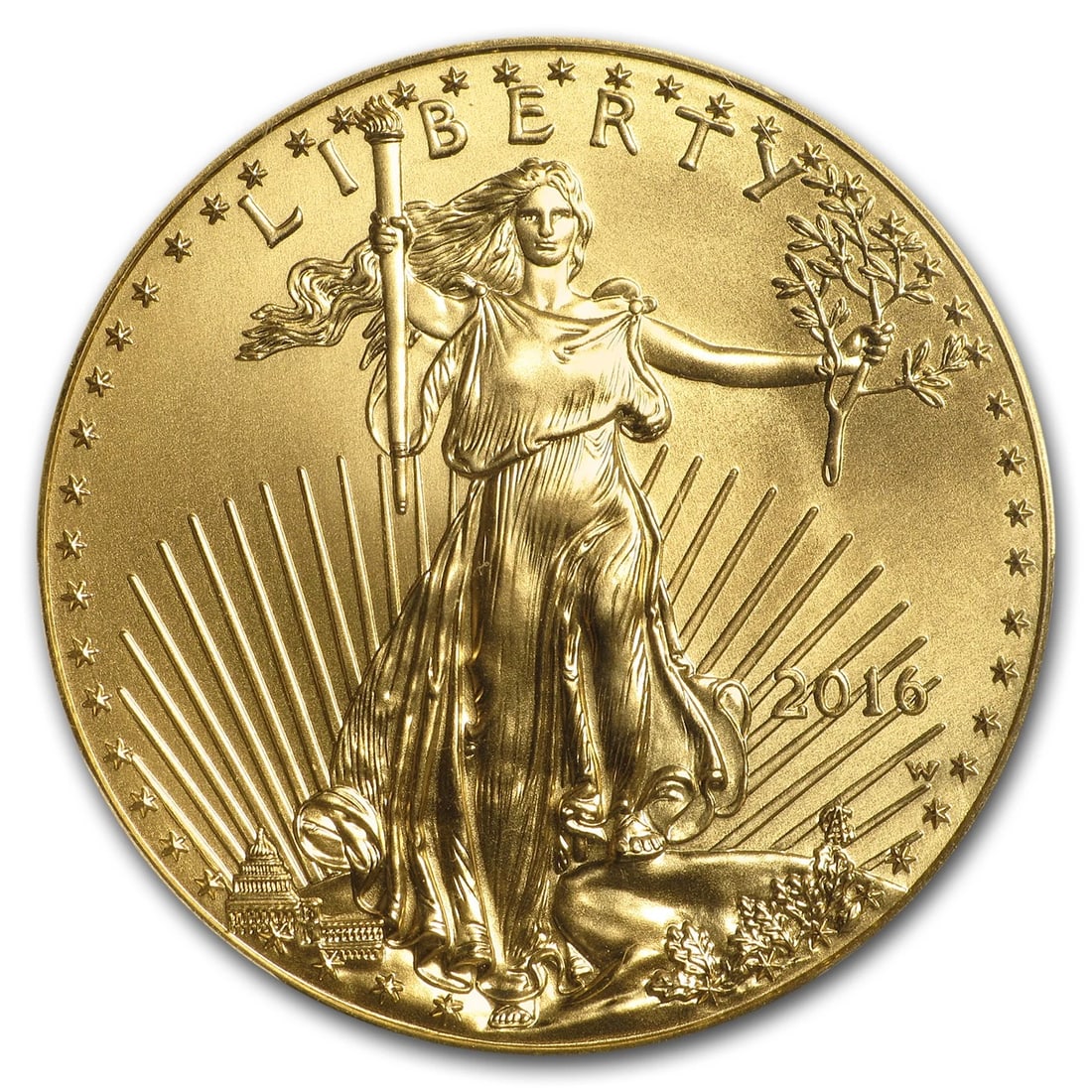 2016-W 1 OZ BURNISHED GOLD EAGLE SP-70 (1 of 2)