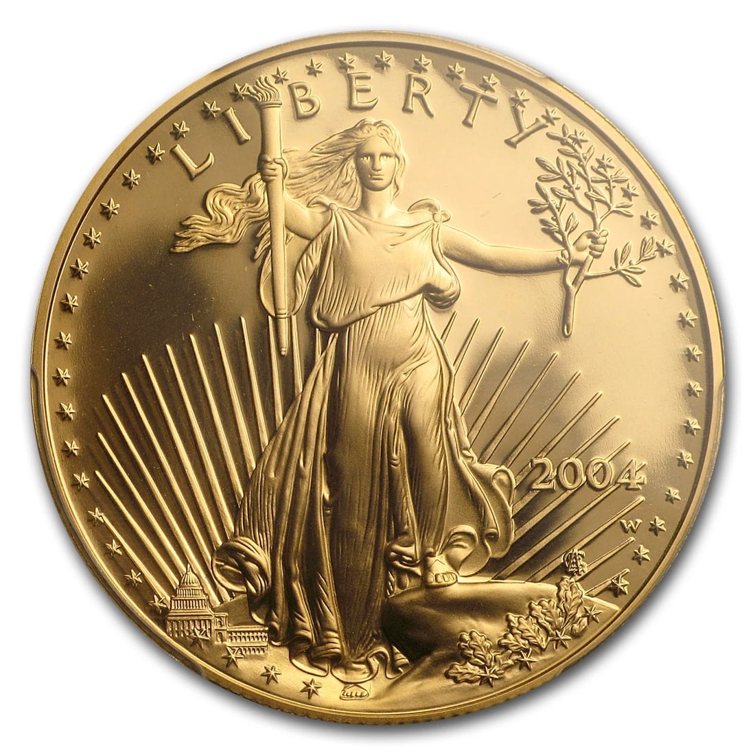 2004-W 1 OZ PROOF AMERICAN GOLD EAGLE (1 of 2)