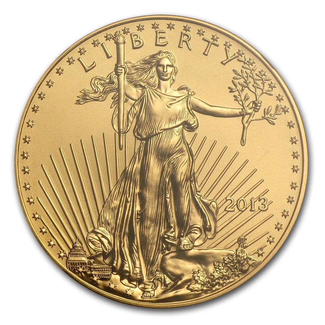 2013 1 OZ AMERICAN GOLD EAGLE (1 of 2)