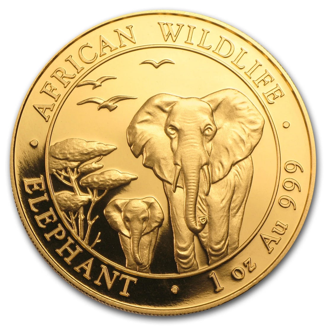 2015 SOMALIA 1 OZ GOLD AFRICAN ELEPHANT BU (1 of 2)