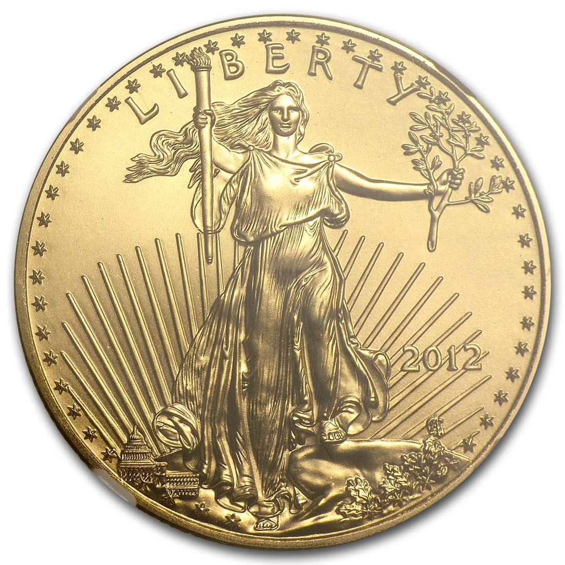2012 1/2 OZ AMERICAN GOLD EAGLE: 2012 1/2 oz American Gold Eagle Brand : US Mint Year : 2012 Denomination : $25 Fineness : 0.9167 Country of Origin/Country/Region of Manufacture : United States Coin : None Brand/Mint : N