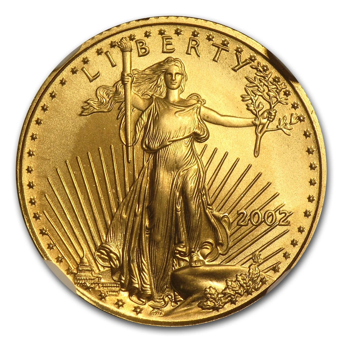 2002 1/10 OZ AMERICAN GOLD EAGLE (1 of 2)