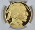 2008-W $50 AMERICAN GOLD BUFFALO (1 of 2)