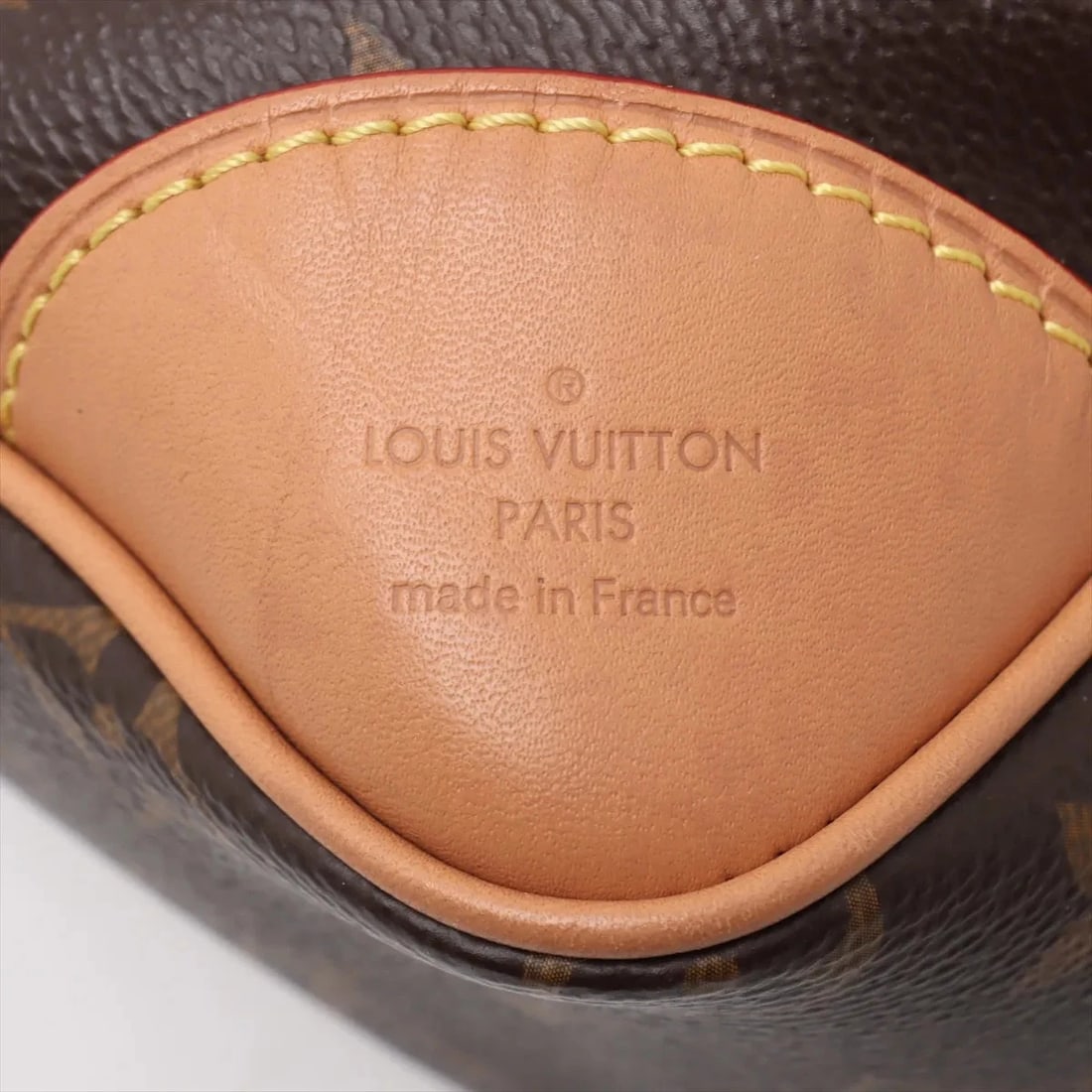 LOUIS VUITTON MONOGRAM ODEON BROWN - 6