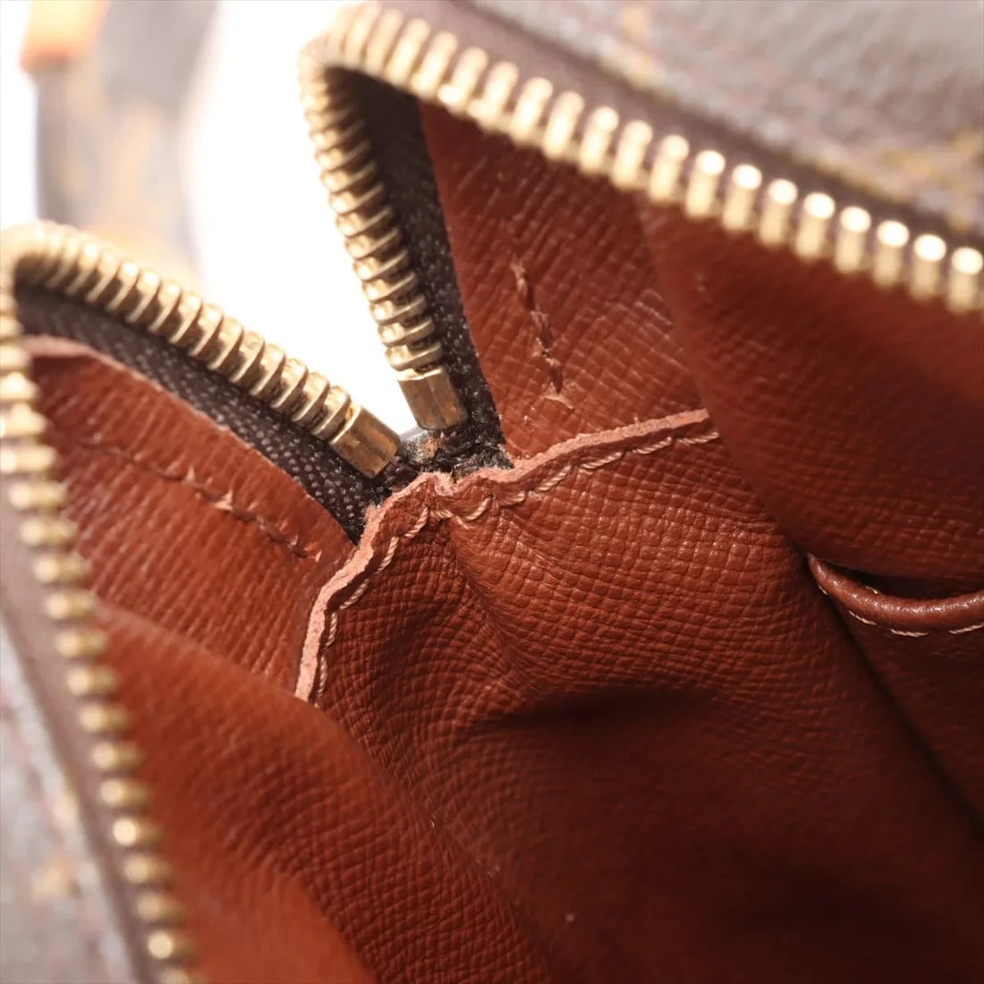 LOUIS VUITTON MONOGRAM AMAZON BROWN - 6