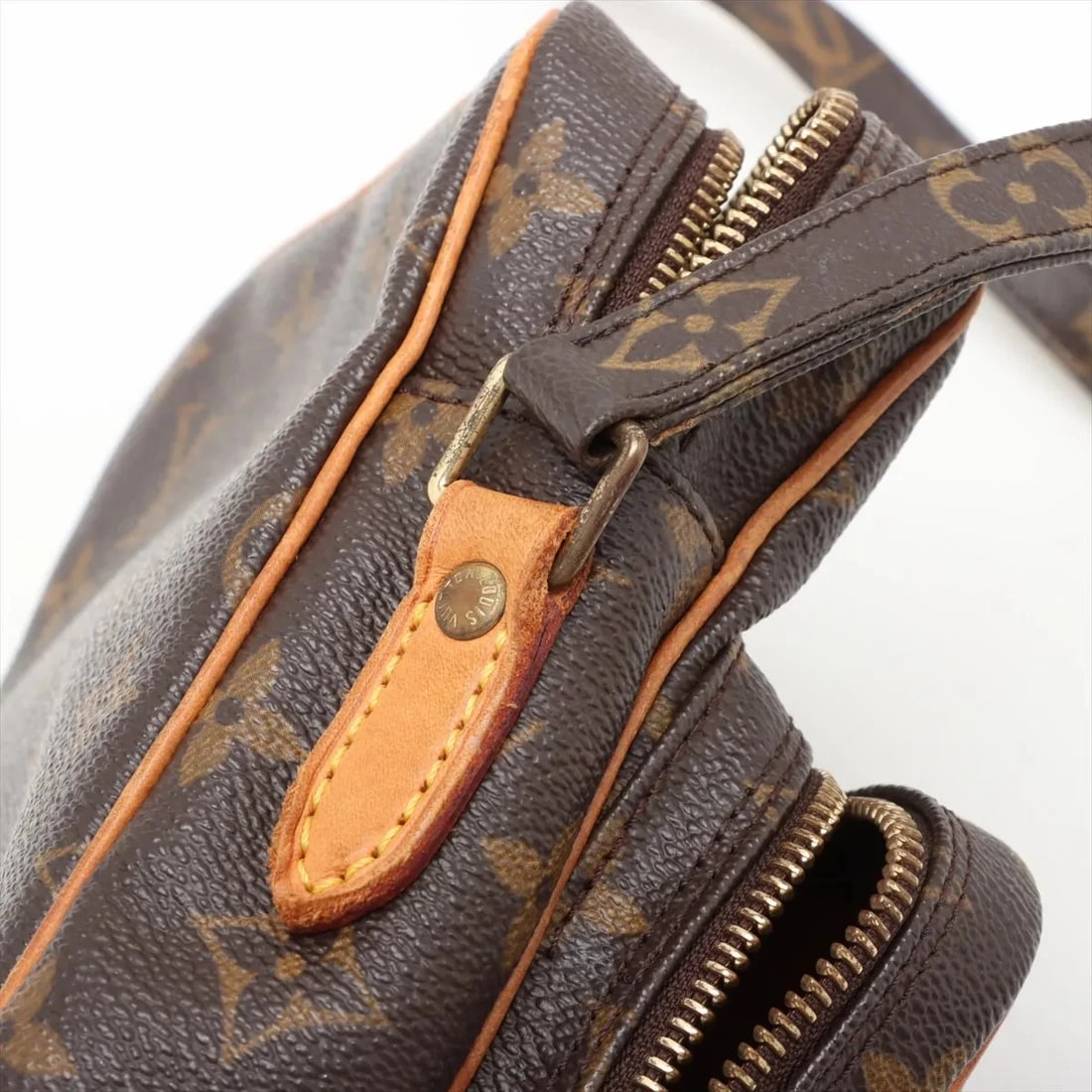 LOUIS VUITTON MONOGRAM AMAZON BROWN - 7