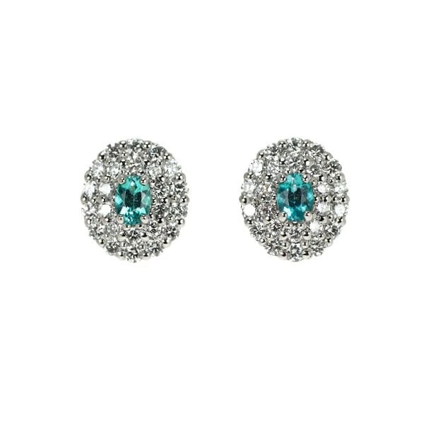 PT900 BRAZILIAN PARAIBA TOURMALINE DIAMOND EARRINGS: Pt900 Brazilian Paraiba Tourmaline Diamond Earrings Brand: None Type: piercing Material: Metal Pt900 Main Stone/Creation tourmaline Color: None Size: Length/Width/Diameter8.0Width/Thickness7.1