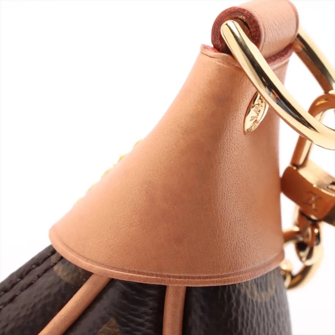 LOUIS VUITTON MONOGRAM LOOP BROWN - 8