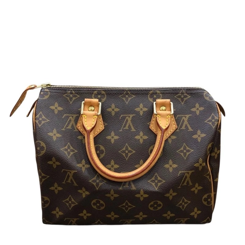 LOUIS VUITTON SPEEDY 25 HANDBAG - 2