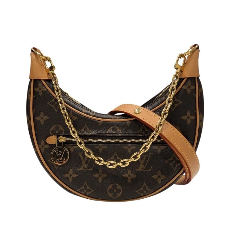 LOUIS VUITTON LOOP SHOULDER BAG (1 of 10)