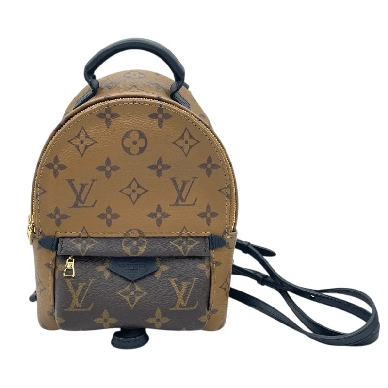 LOUIS VUITTON PALM SPRINGS BACKPACK (1 of 8)
