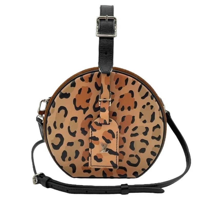 LOUIS VUITTON PETITE POITRE CHAPEAU SHOULDER BAG (1 of 11)