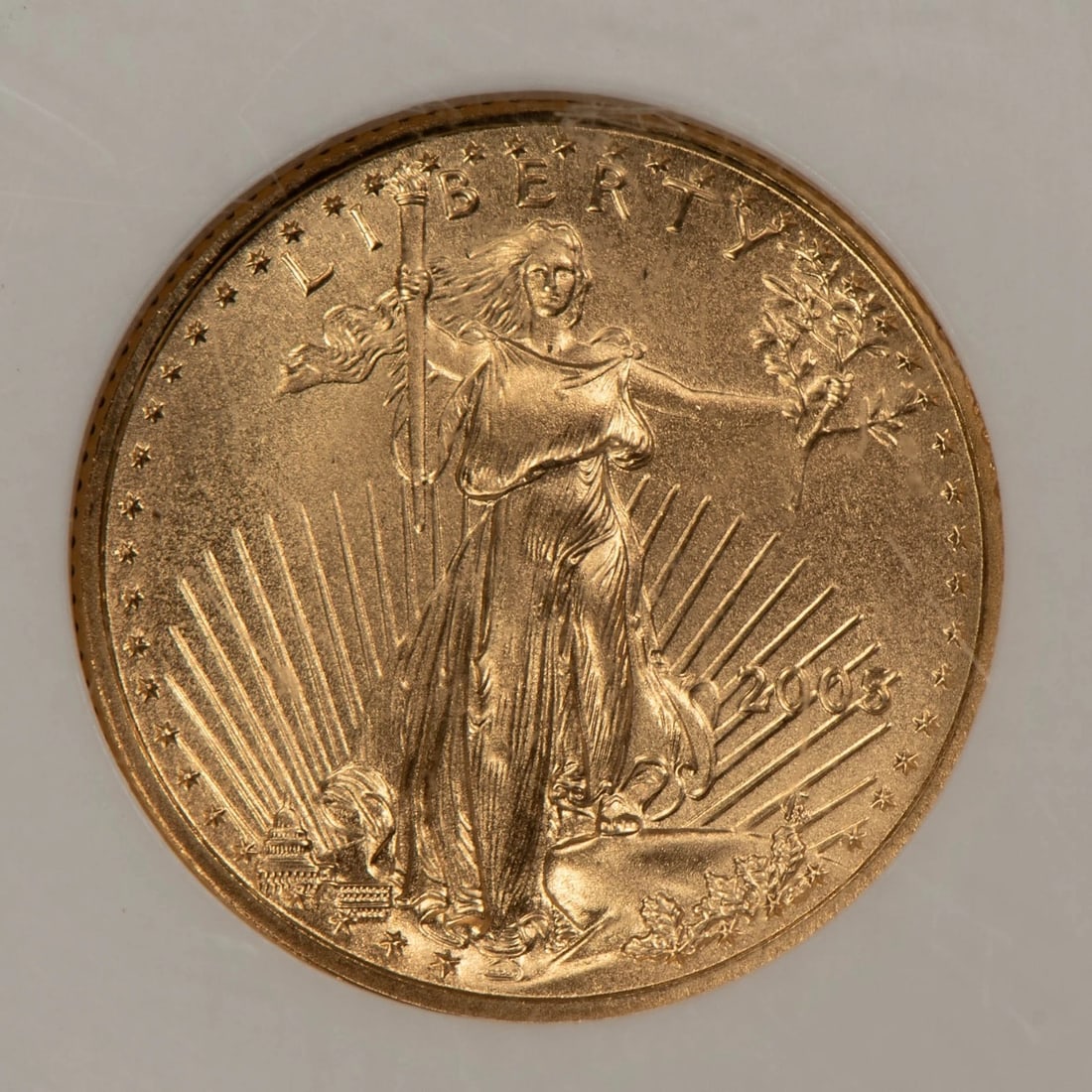 2005 G$5 1/10 OZ GOLD AMERICAN EAGLE (1 of 2)