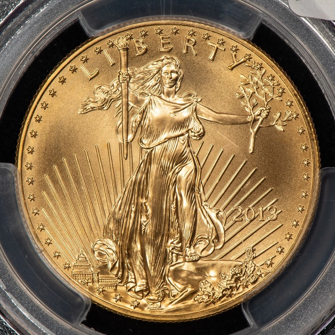 2013 G$50 1 OZ GOLD AMERICAN EAGLE (1 of 2)