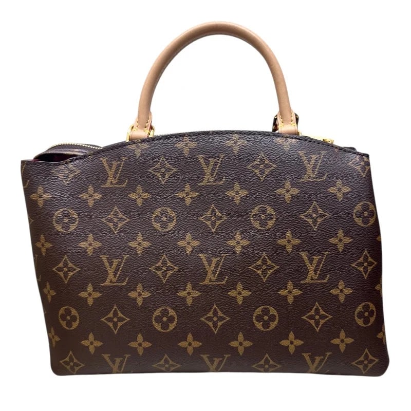 LOUIS VUITTON PETIT PALAIS PM MONOGRAM (1 of 11)