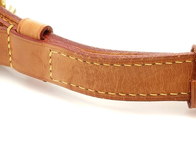 LOUIS VUITTON ODEON PM MONOGRAM - 9