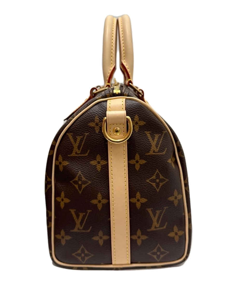 LOUIS VUITTON BAG - 4