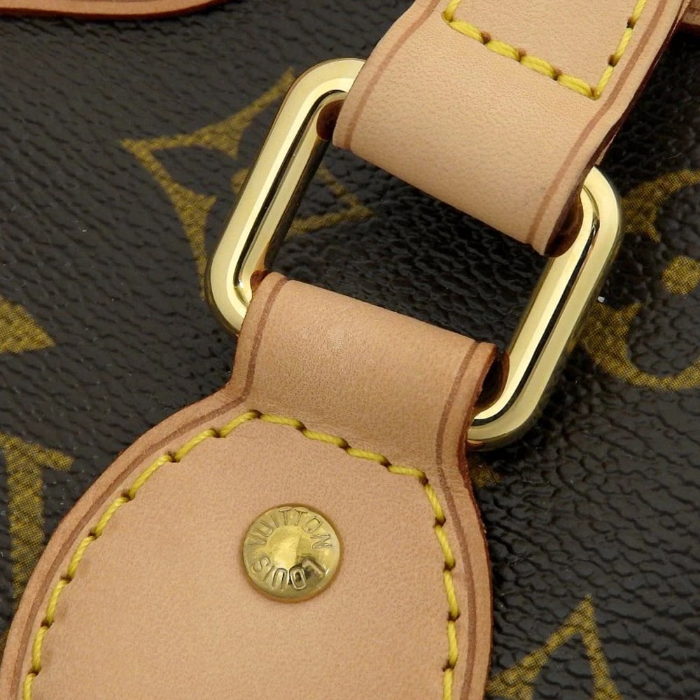 LOUIS VUITTON MONOGRAM PALERMO - 5
