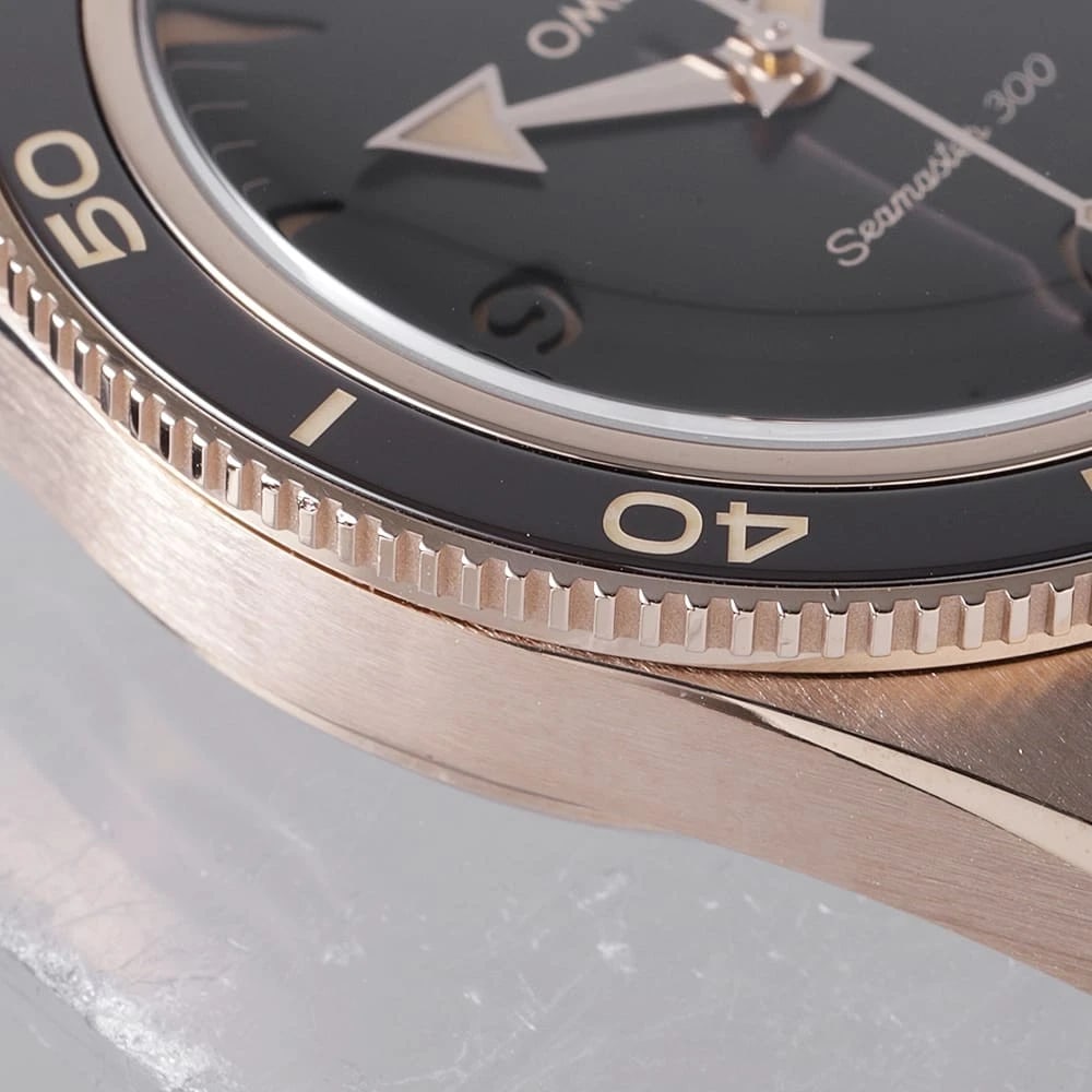 OMEGA SEAMASTER CO-AXIAL MASTER CHRONOMETER WATCH - 6