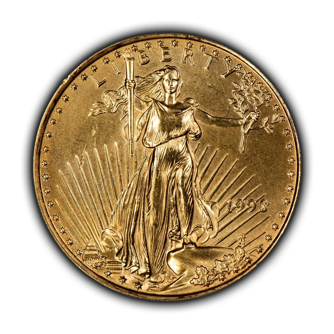 1993 G$10 1/4 OZ GOLD AMERICAN EAGLE (1 of 2)