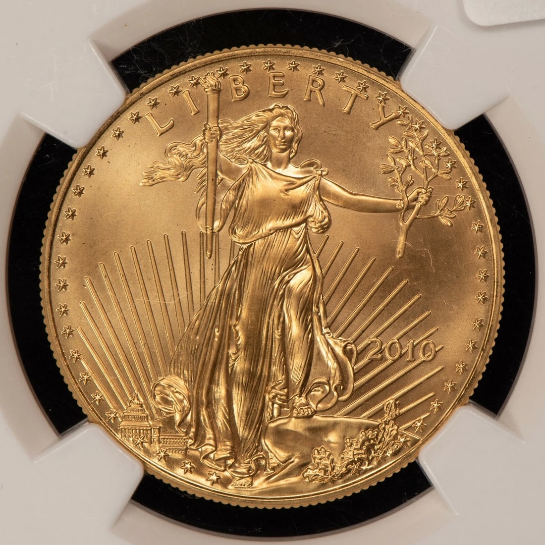 2010 G$50 1 OZ GOLD AMERICAN EAGLE: 2010 G$50 1 oz Gold American Eagle Brand/Mint: None Year: 2010 Fineness: 0.9167 Composition: Gold Coin: American Eagle Denomination: $50 Country of Origin: United States Accessor