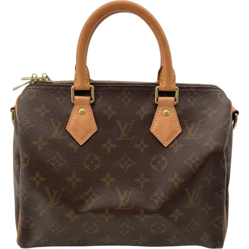 LOUIS VUITTON SPEEDY BAND RIELL 25 SHOULDER BAG (1 of 12)