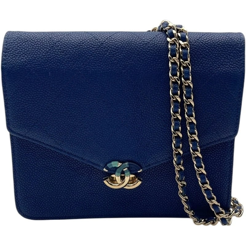 CHANEL HALF COCO CHAIN WALLET SHOULDER BAG HANDBAG (1 of 8)