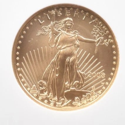 2008-W $10 BURNISHED GOLD EAGLE EARLY: 2008-W $10 Burnished Gold Eagle Early Brand/Mint: None Year: 2008 Denomination: $10 Country of Origin: None Accessories: None Accessories Notice: When purchasing pre-owned goods, please refer