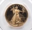 1989-P $25 AMERICAN GOLD EAGLE: 1989-P $25 American Gold Eagle Brand/Mint: None Year: 1989 Denomination: $25 Country of Origin: United States Accessories: None Accessories Notice: When purchasing pre-owned goods, please