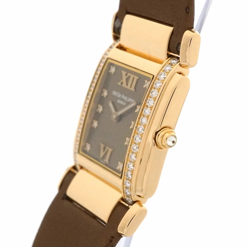 PATEK PHILIPPE BROWN WATCH - 2
