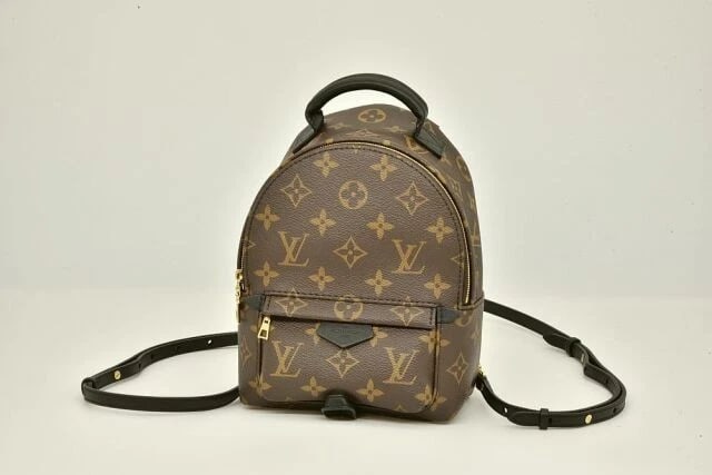 LOUIS VUITTON MONOGRAM PALM SPRINGS BACKPACK MINI HANDBAG: Louis Vuitton Monogram Palm Springs Backpack MINI Handbag Brand: Louis Vuitton Type: Handbag Material: Monogram Canvas Color: Brown Size: W17xH22xD10cm Accessories: None Accessories Notice: