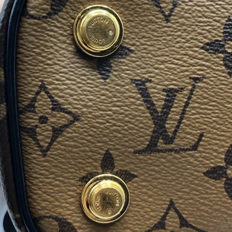 LOUIS VUITTON VANITY MONOGRAM REVERSE HANDBAG - 4