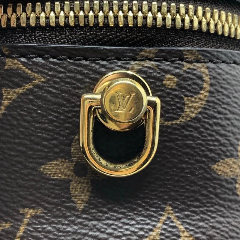 LOUIS VUITTON VANITY MONOGRAM REVERSE HANDBAG - 6