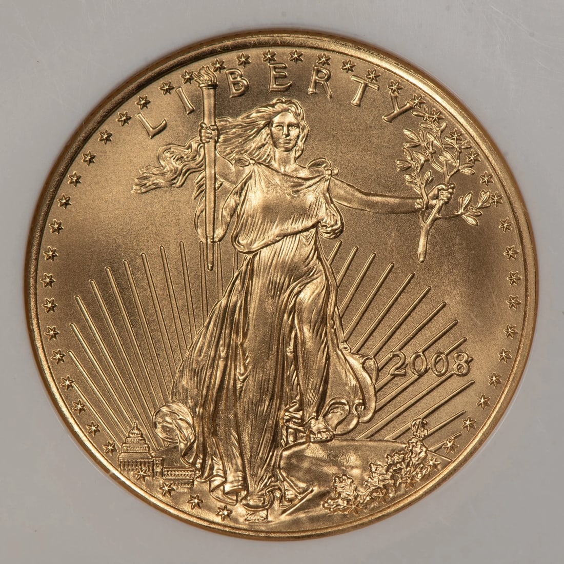 2008 G$25 1/2 OZ GOLD AMERICAN EAGLE (1 of 2)