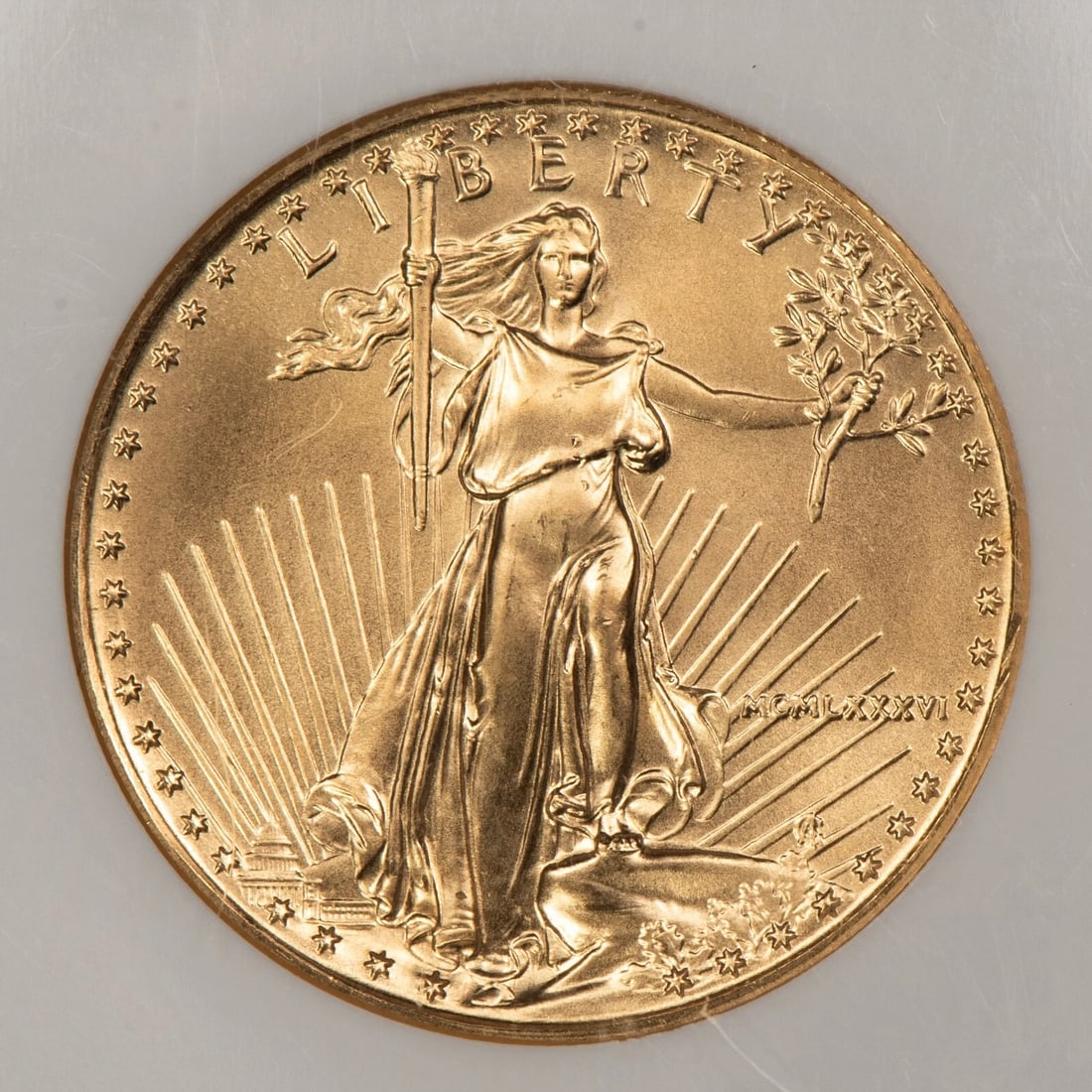 1986 G$25 1/2 OZ GOLD AMERICAN EAGLE (1 of 2)