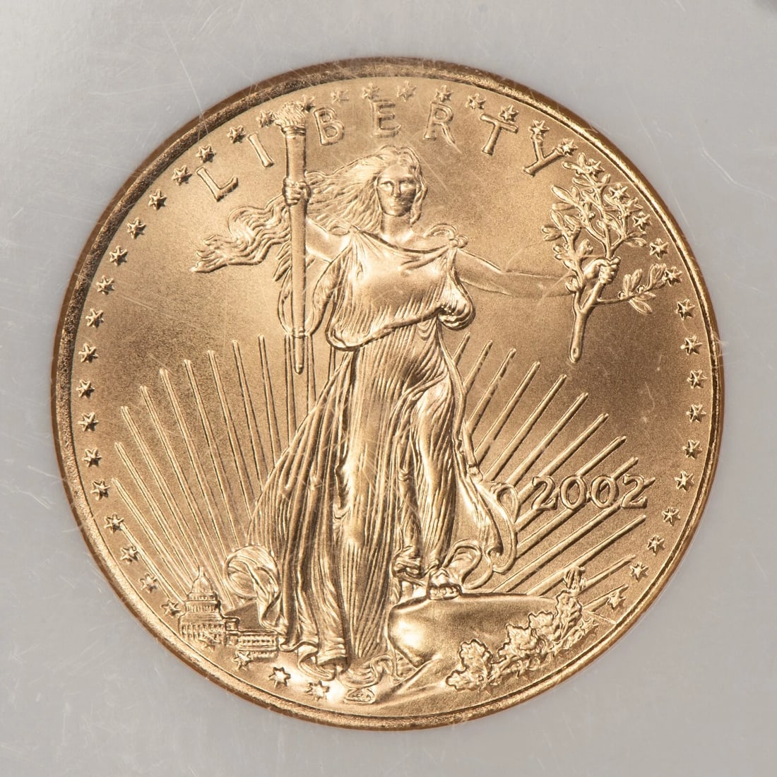 2002 G$25 1/2 OZ GOLD AMERICAN EAGLE: 2002 G$25 1/2 oz Gold American Eagle Brand/Mint: U.S. Mint Year: 2002 Fineness: 0.9167 Composition: Gold Coin: American Eagle Denomination: $25 Country of Origin: United States A